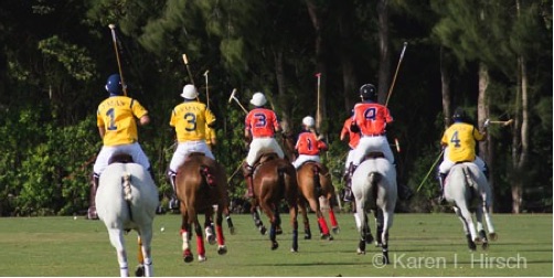 Polo players galloping away